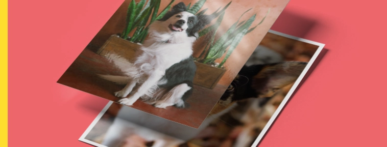 Klasikinis nuotraukų atspaudavimas